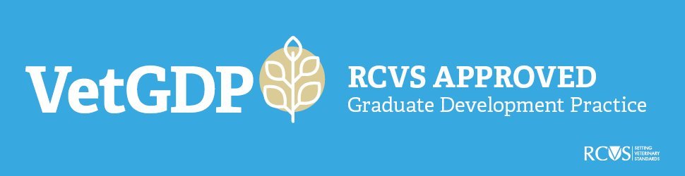 RCVS Development Practice